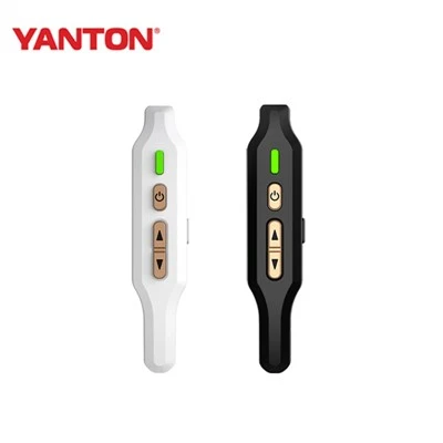 Earhook Walkie Talkie